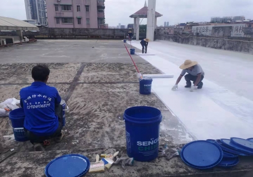 荔灣區(qū)南方茶葉市場屋面防水